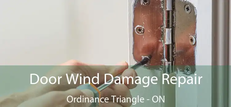  Door Wind Damage Repair Ordinance Triangle - ON