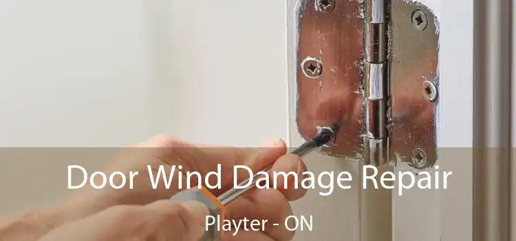 Door Wind Damage Repair Playter - ON