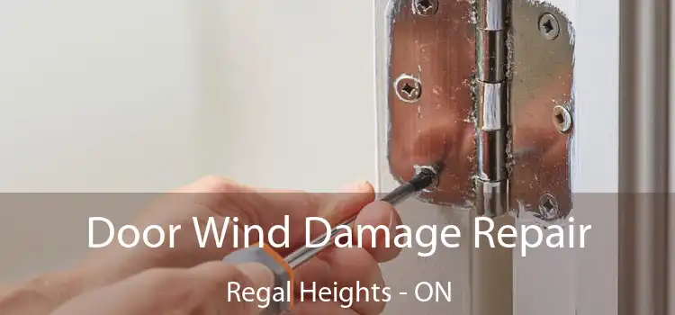  Door Wind Damage Repair Regal Heights - ON