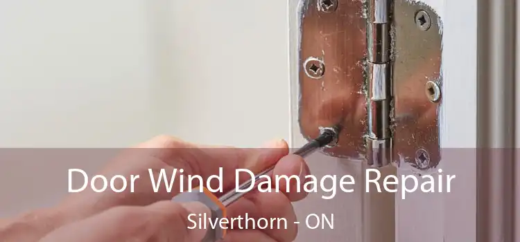  Door Wind Damage Repair Silverthorn - ON