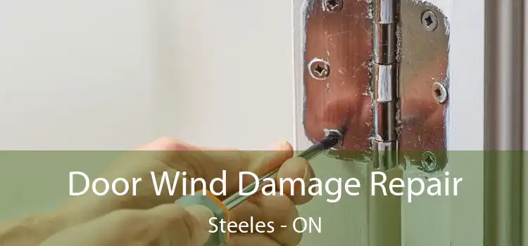  Door Wind Damage Repair Steeles - ON