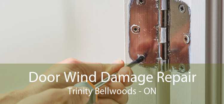 Door Wind Damage Repair Trinity Bellwoods - ON