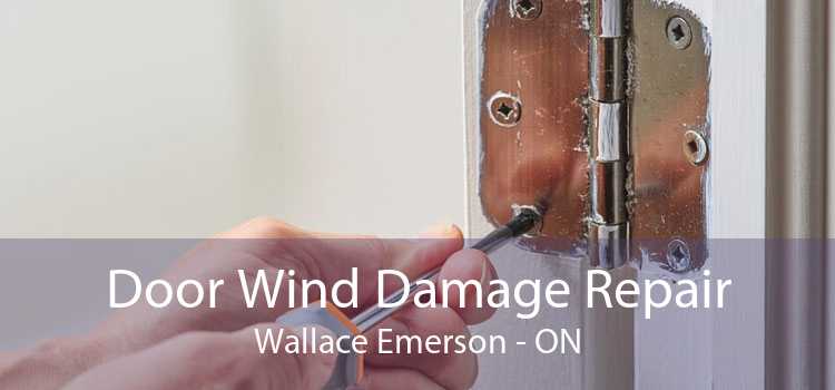 Door Wind Damage Repair Wallace Emerson - ON