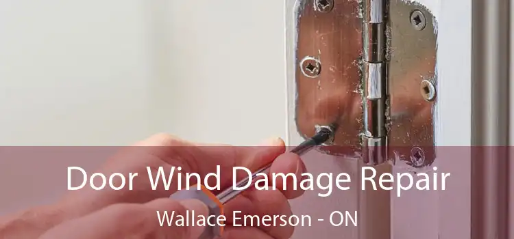  Door Wind Damage Repair Wallace Emerson - ON