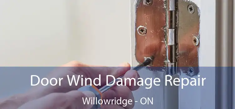  Door Wind Damage Repair Willowridge - ON
