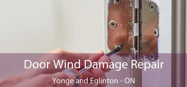  Door Wind Damage Repair Yonge and Eglinton - ON