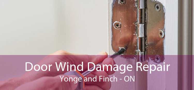 Door Wind Damage Repair Yonge and Finch - ON
