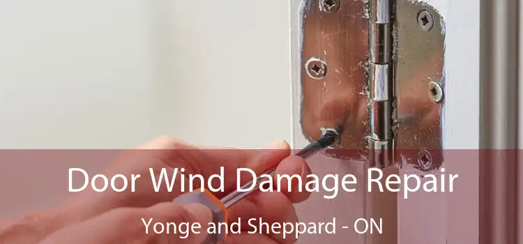  Door Wind Damage Repair Yonge and Sheppard - ON