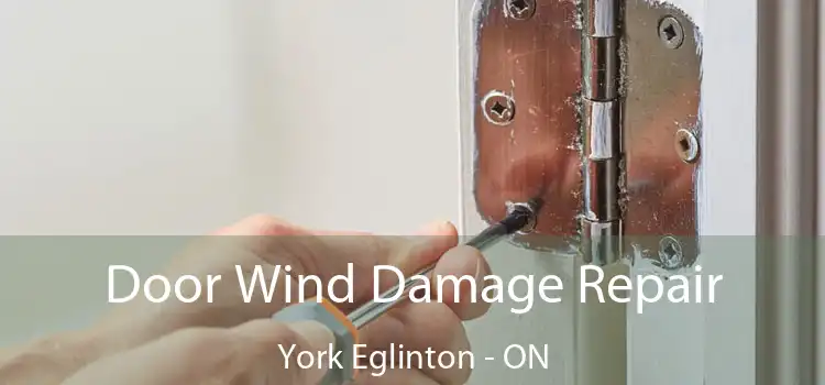  Door Wind Damage Repair York Eglinton - ON