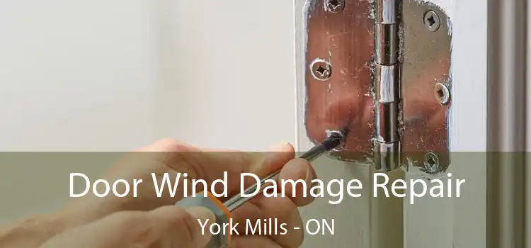 Door Wind Damage Repair York Mills - ON