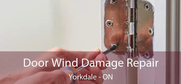  Door Wind Damage Repair Yorkdale - ON