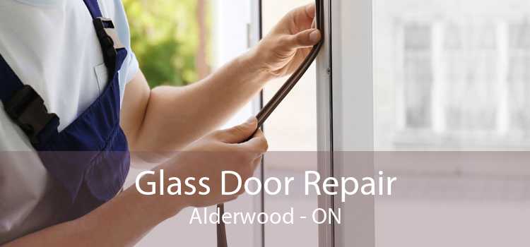 Glass Door Repair Alderwood - ON