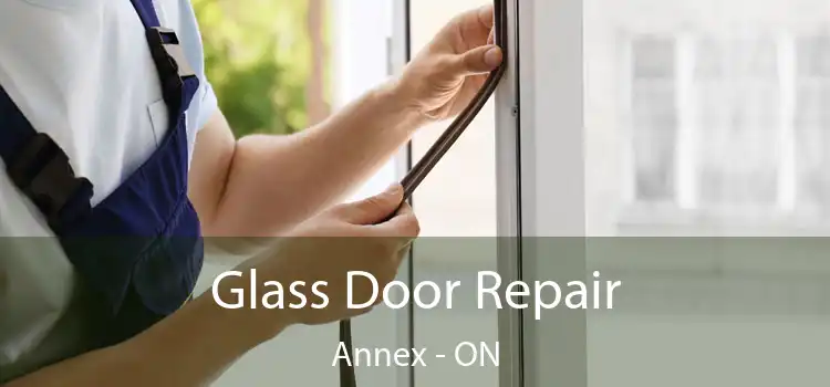  Glass Door Repair Annex - ON