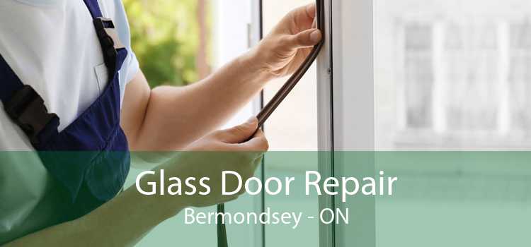 Glass Door Repair Bermondsey - ON