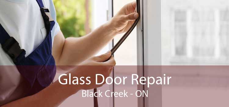 Glass Door Repair Black Creek - ON