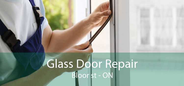 Glass Door Repair Bloor st - ON