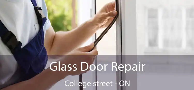  Glass Door Repair College street - ON