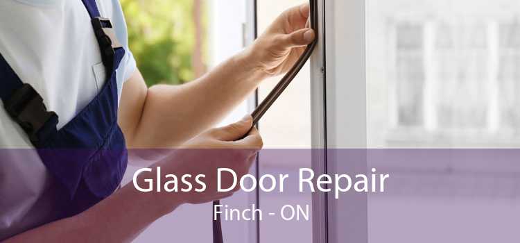 Glass Door Repair Finch - ON