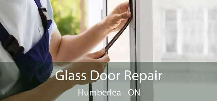  Glass Door Repair Humberlea - ON