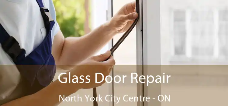  Glass Door Repair North York City Centre - ON