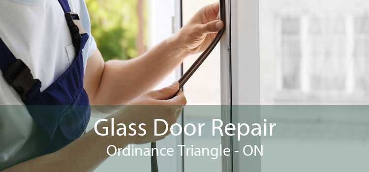Glass Door Repair Ordinance Triangle - ON