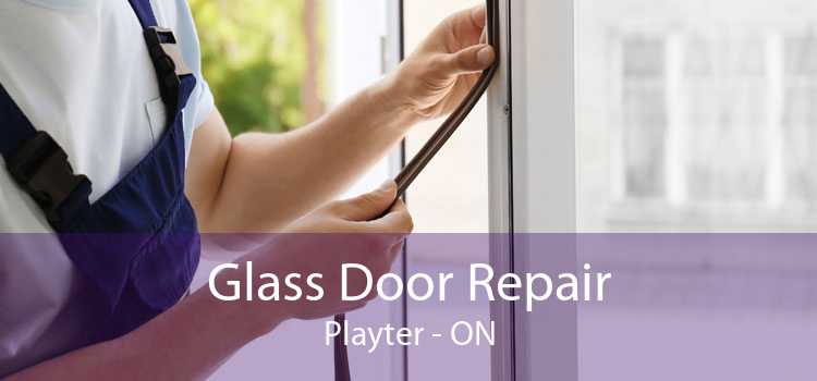 Glass Door Repair Playter - ON