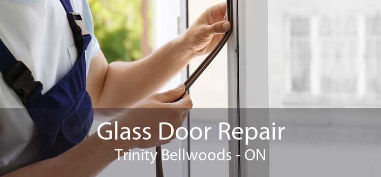 Glass Door Repair Trinity Bellwoods - ON