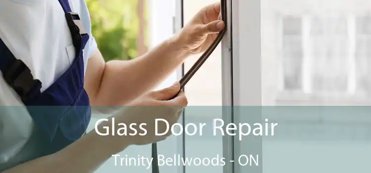  Glass Door Repair Trinity Bellwoods - ON