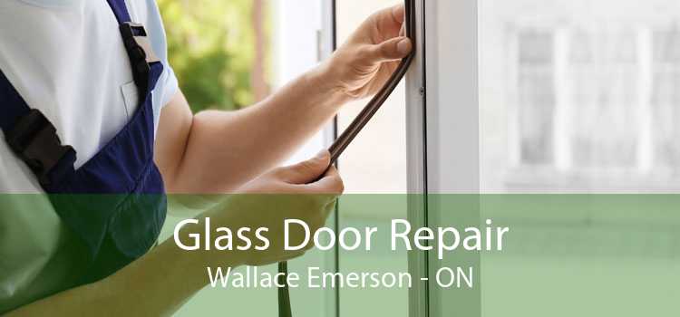Glass Door Repair Wallace Emerson - ON