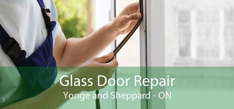 Glass Door Repair Yonge and Sheppard - ON