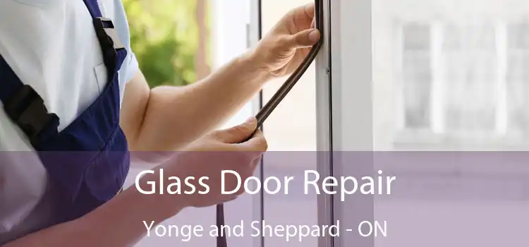 Glass Door Repair Yonge and Sheppard - ON