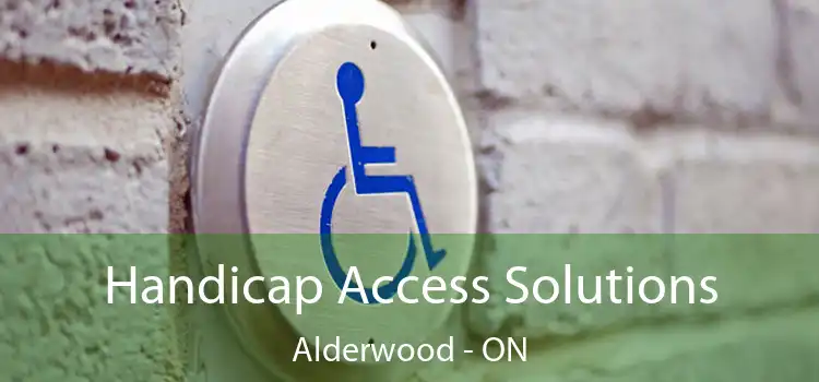  Handicap Access Solutions Alderwood - ON