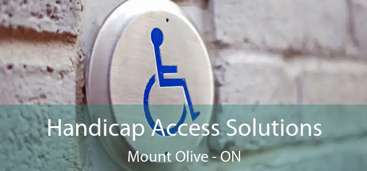  Handicap Access Solutions Mount Olive - ON