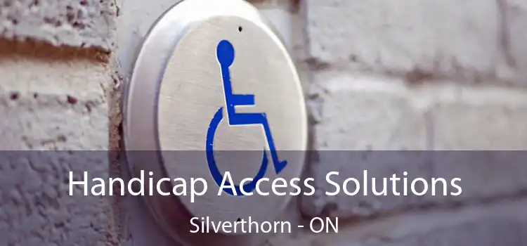  Handicap Access Solutions Silverthorn - ON