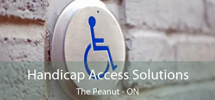  Handicap Access Solutions The Peanut - ON