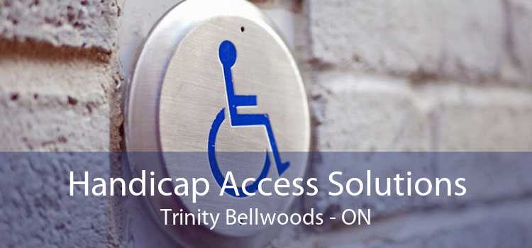 Handicap Access Solutions Trinity Bellwoods - ON