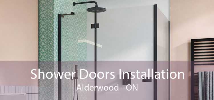 Shower Doors Installation Alderwood - ON