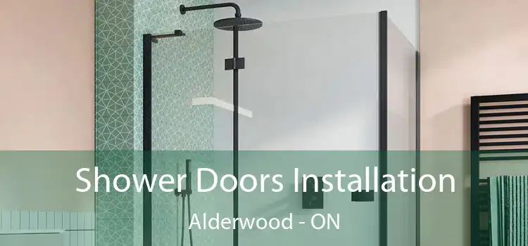  Shower Doors Installation Alderwood - ON