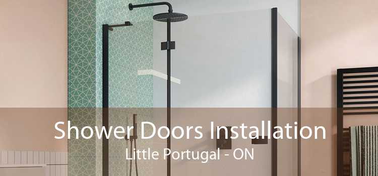 Shower Doors Installation Little Portugal - ON
