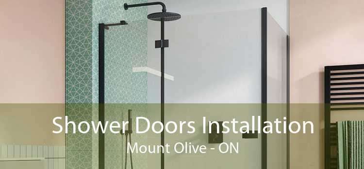 Shower Doors Installation Mount Olive - ON