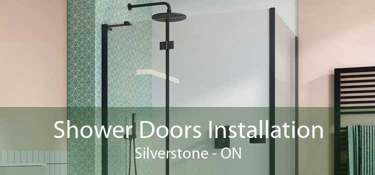 Shower Doors Installation Silverstone - ON