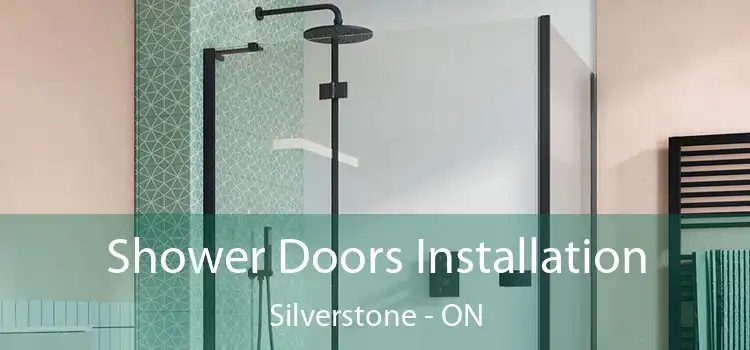  Shower Doors Installation Silverstone - ON