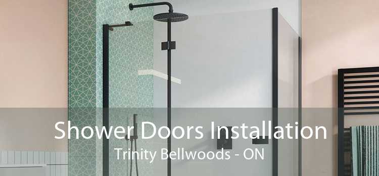 Shower Doors Installation Trinity Bellwoods - ON
