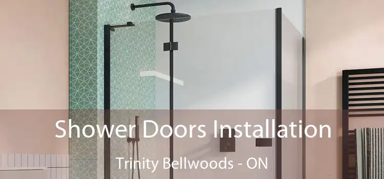  Shower Doors Installation Trinity Bellwoods - ON