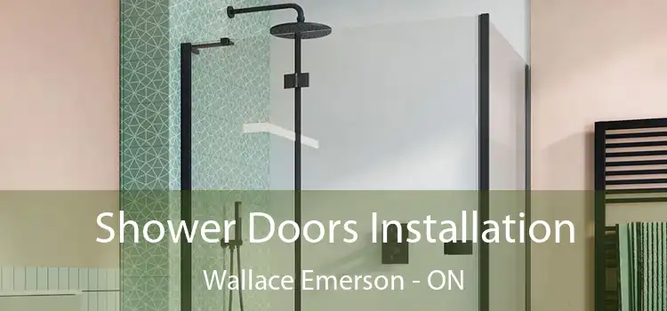  Shower Doors Installation Wallace Emerson - ON