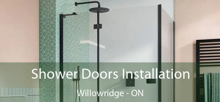  Shower Doors Installation Willowridge - ON
