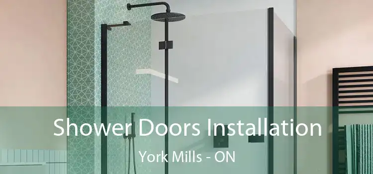  Shower Doors Installation York Mills - ON